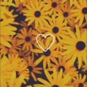 Meet your Posher, Dayanna